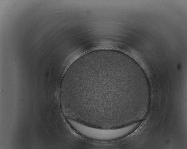 X0000097971337200804011711