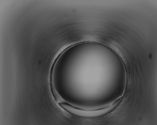X0000097971339200804011712