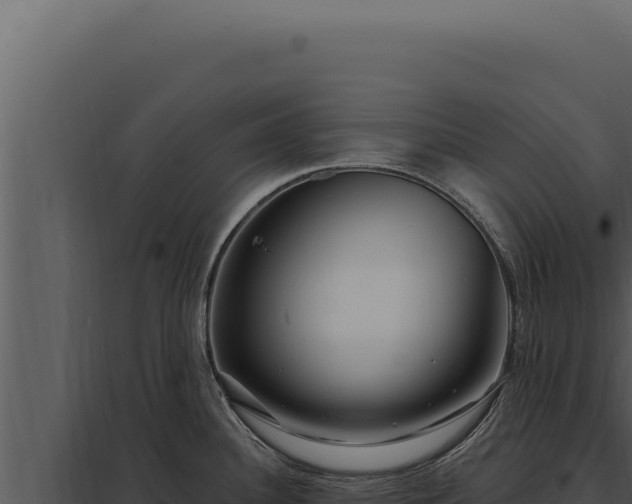X0000097971340200804011712