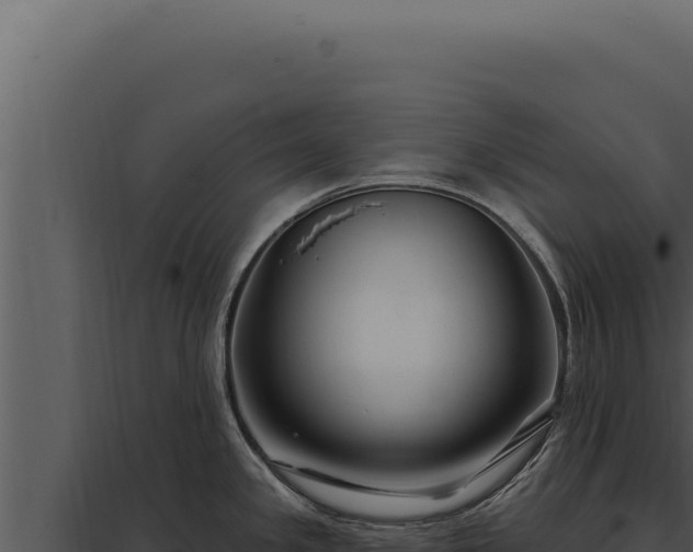 X0000097971341200804011712
