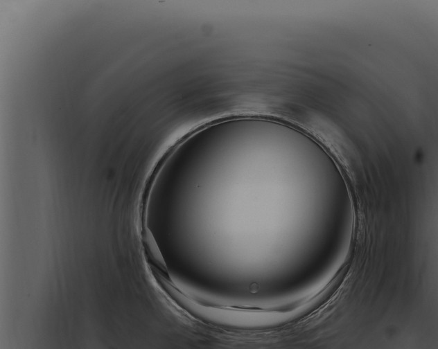 X0000097971342200804011712