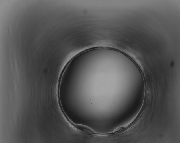 X0000097971343200804011712