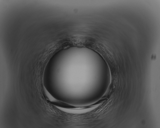 X0000097971345200804011711