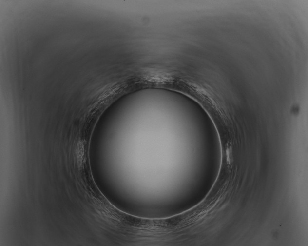 X0000097971347200804011711