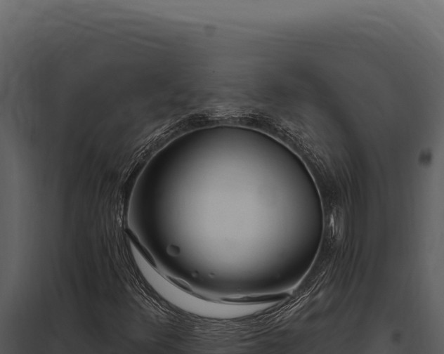 X0000097971348200804011711