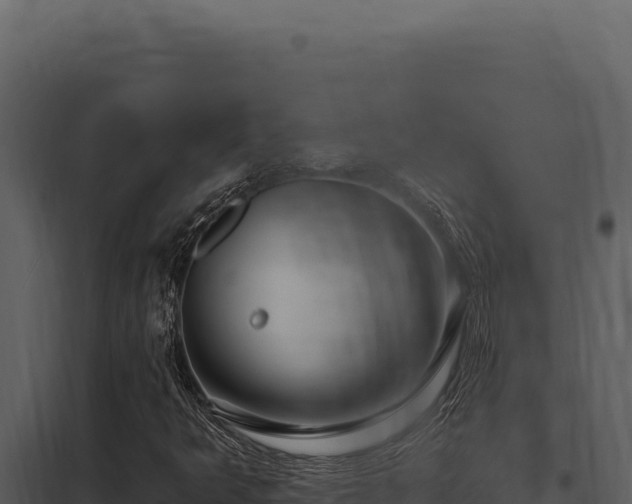 X0000097971349200804011711
