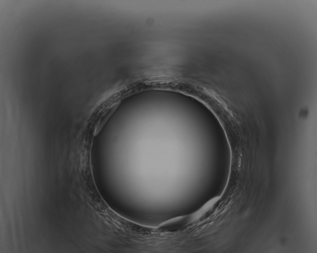 X0000097971350200804011711
