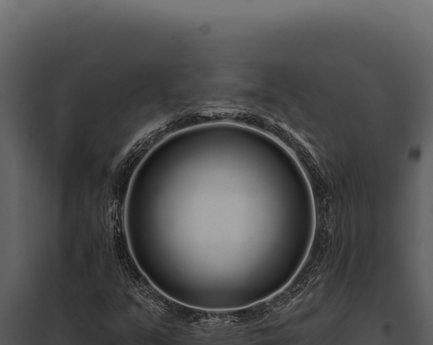 X0000097971351200804011711