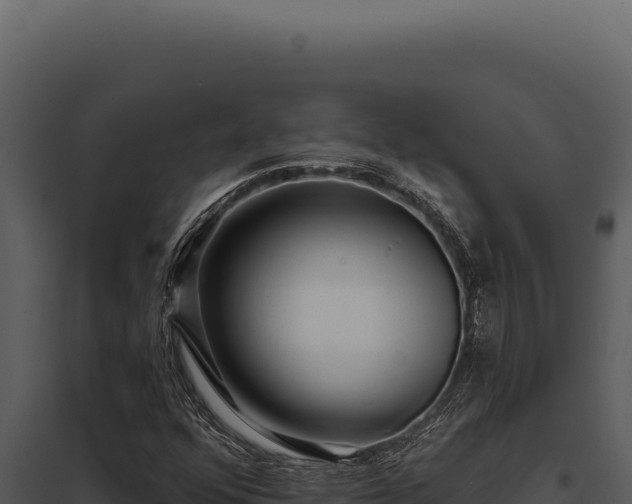X0000097971352200804011711