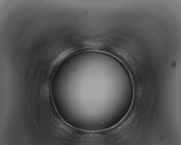 X0000097971354200804011711