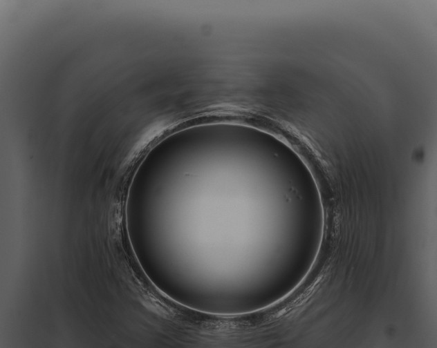 X0000097971355200804011711