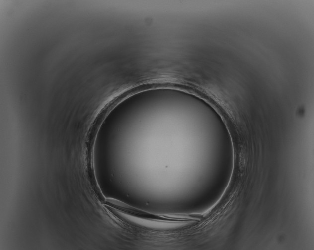 X0000097971356200804011711
