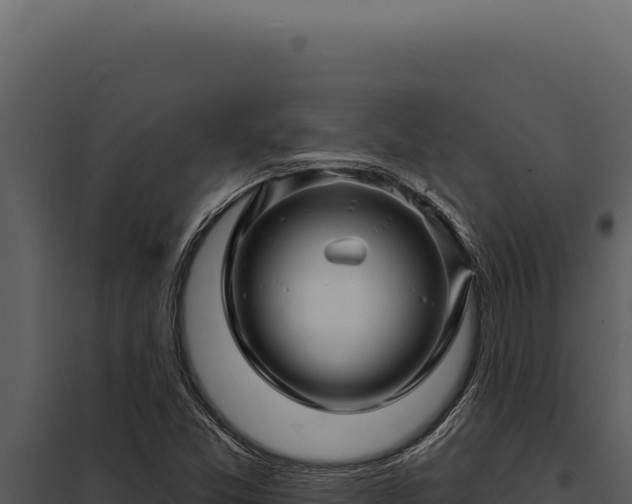 X0000097971357200804011711