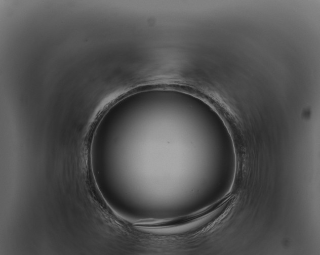 X0000097971358200804011711