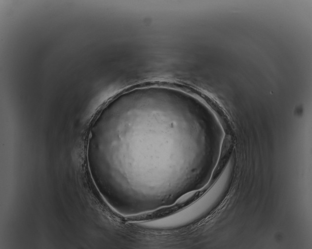 X0000097971359200804011711