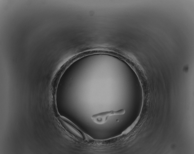 X0000097971360200804011711