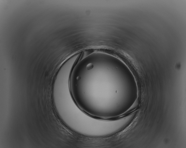 X0000097971361200804011711