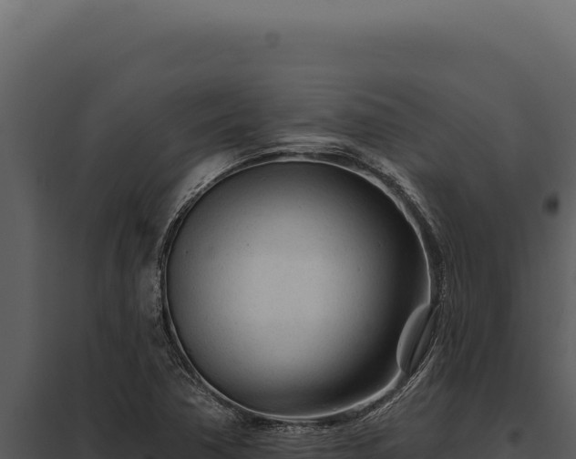 X0000097971362200804011711
