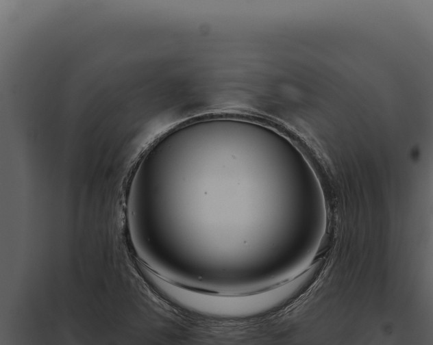 X0000097971363200804011711