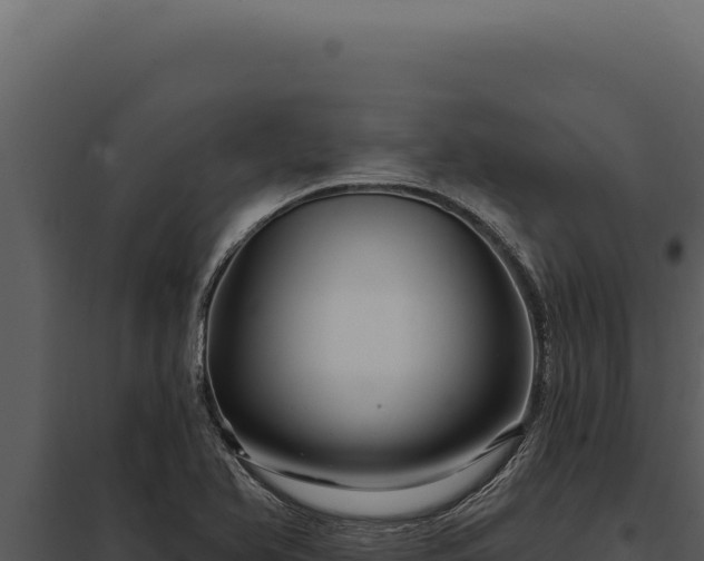 X0000097971366200804011711