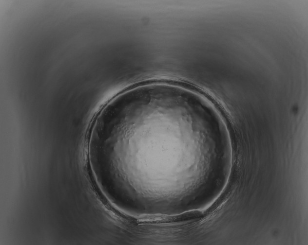X0000097971367200804011711
