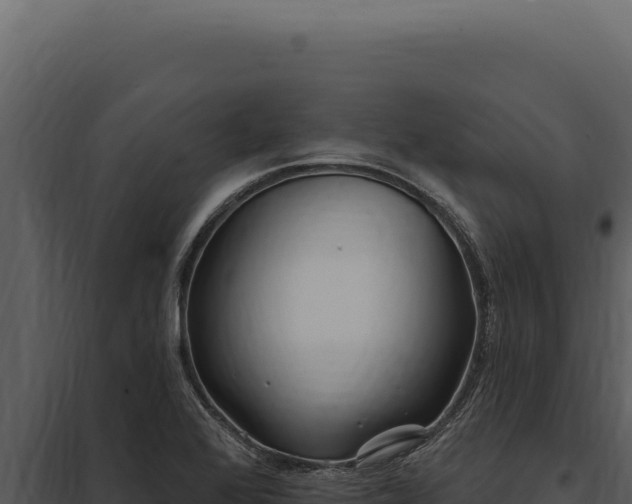 X0000097971368200804011711
