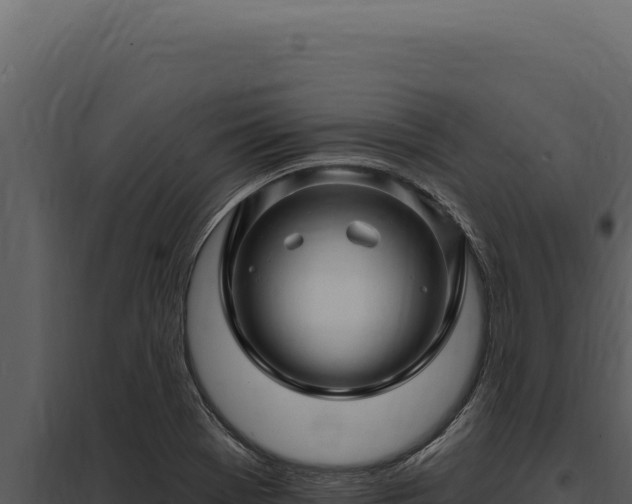 X0000097971369200804011711