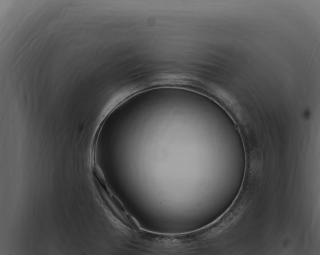 X0000097971370200804011711