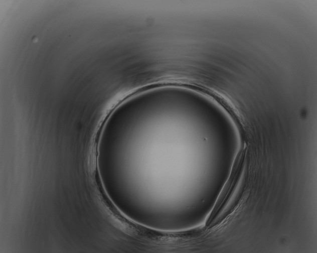 X0000097971371200804011711
