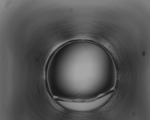 X0000097971372200804011711