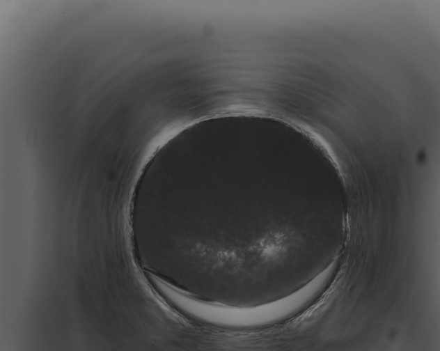 X0000097971373200804011711