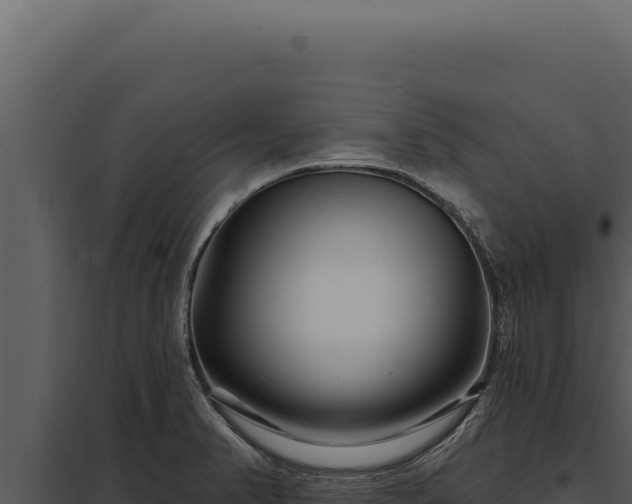 X0000097971374200804011711