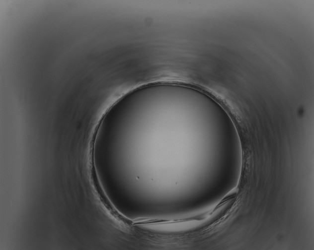 X0000097971375200804011711