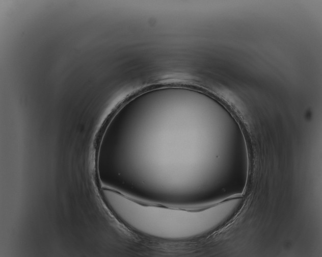 X0000097971376200804011711