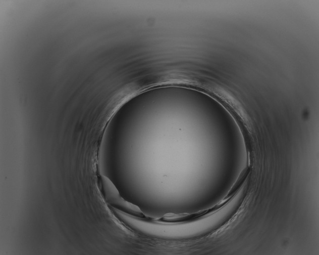X0000097971377200804011710
