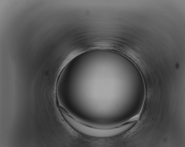 X0000097971378200804011710