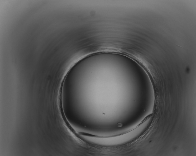 X0000097971379200804011710