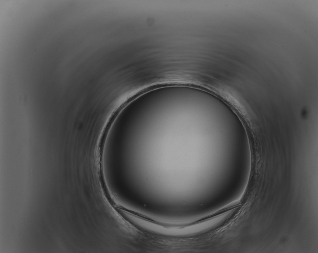 X0000097971380200804011710
