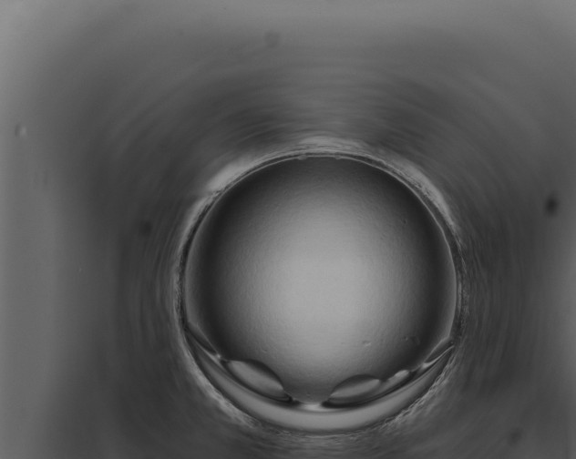X0000097971381200804011710