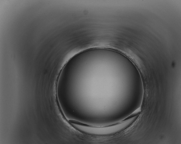 X0000097971382200804011710