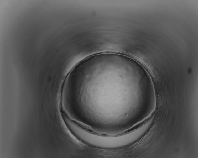 X0000097971383200804011710