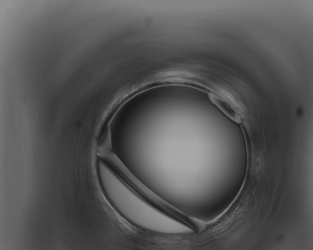 X0000097971384200804011710