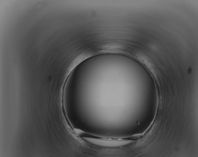 X0000097971386200804011710