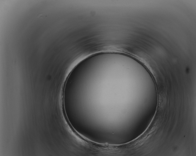 X0000097971387200804011710