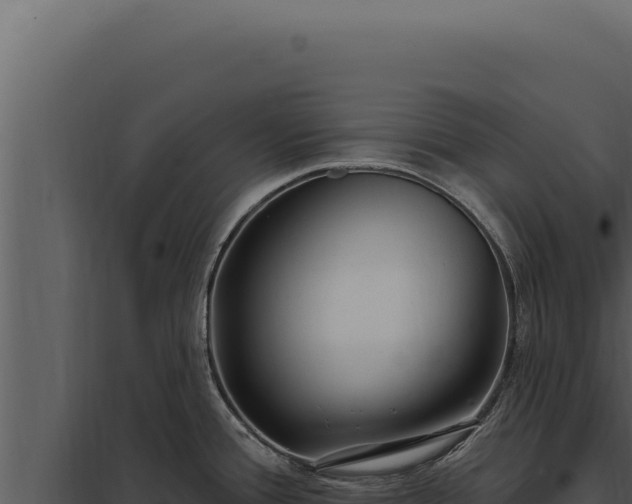 X0000097971388200804011710