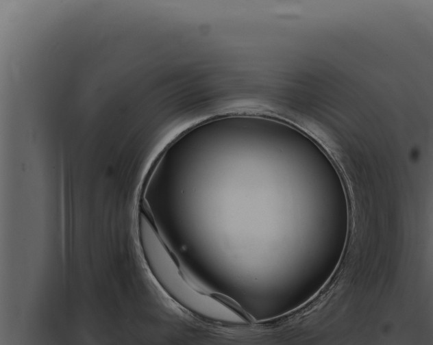 X0000097971392200804011710