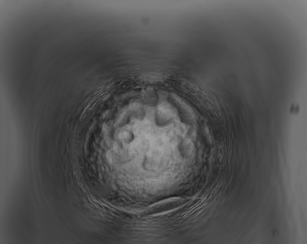 X0000097971393200804011709