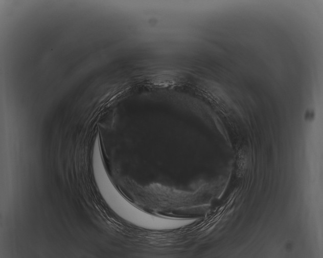 X0000097971394200804011709