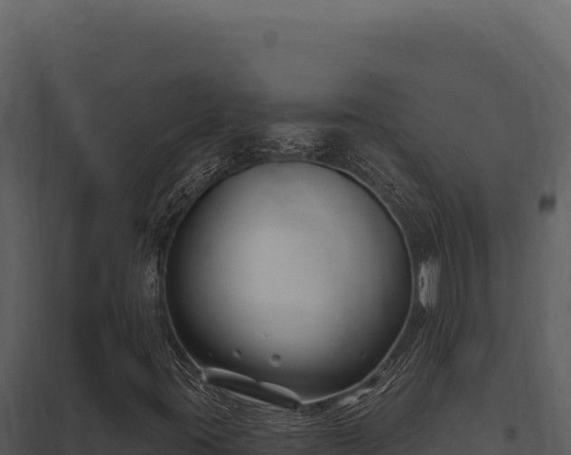 X0000097971395200804011709