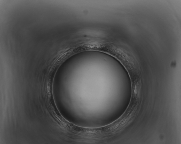 X0000097971396200804011709